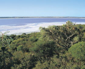 Pink Lake - Kempsey Accommodation 0
