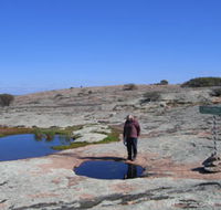 Dingo Rock - Kempsey Accommodation
