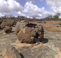 Gathercole Nature Reserve - Kempsey Accommodation