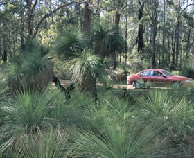 Bridgetown Jarrah Park - Kempsey Accommodation 0