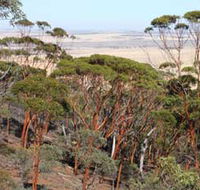 Mount Matilda Walk Trail Wongan Hills - Kempsey Accommodation
