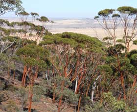 Mount Matilda Walk Trail, Wongan Hills - Kempsey Accommodation 0