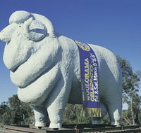 Giant Ram Tourist Park - Kempsey Accommodation