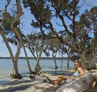 Stokes National Park - Kempsey Accommodation