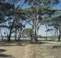 Lake Dumbleyung - Kempsey Accommodation