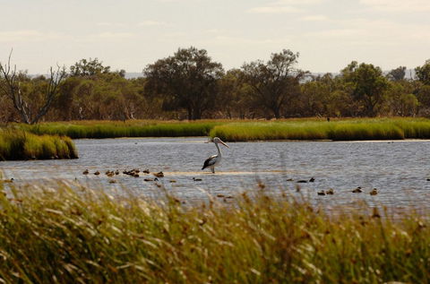 Anytime Adventures In Mandurah & The Peel Region - Kempsey Accommodation 0