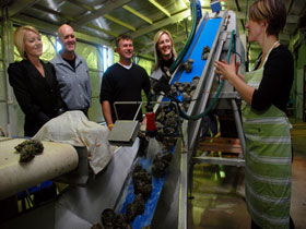 Eyre Peninsula's Seafood Trail - Kempsey Accommodation 0