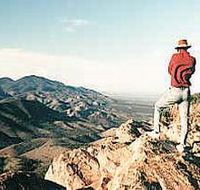 Devil's Peak Walking Trail - Kempsey Accommodation