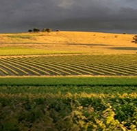 Kellermeister Wines - Kempsey Accommodation