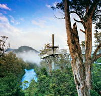 Tahune Adventures Tasmania - Kempsey Accommodation