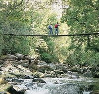 Arve Forest Drive - Kempsey Accommodation