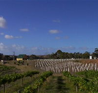Deep Creek Wines and Alpacas - Kempsey Accommodation
