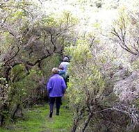 Jack And Hilda McArthur Walk - Kempsey Accommodation