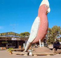 The Big Galah - Kempsey Accommodation
