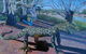 Goanna Hill Gallery - thumb 0