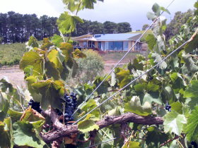 Zimmermann Wine - Kempsey Accommodation 0