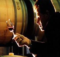 Salena Estate Wines - Kempsey Accommodation