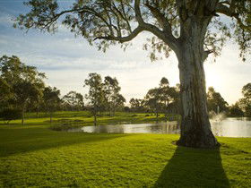 Serafino Wines - Kempsey Accommodation 0