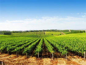 Aldinga SA Kempsey Accommodation