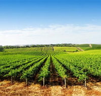 Aldinga Bay Winery - Kempsey Accommodation