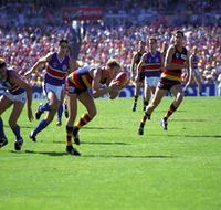 AAMI Stadium Tours - Kempsey Accommodation