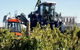 Ballast Stone Estate Wines Pty Ltd - thumb 0