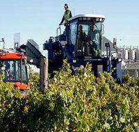 Ballast Stone Estate Wines Pty Ltd - Kempsey Accommodation