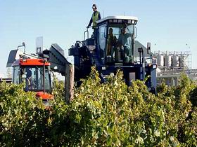 Ballast Stone Estate Wines Pty Ltd - Kempsey Accommodation 0