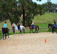Megan Jones Riding School and Trail Rides - Kempsey Accommodation