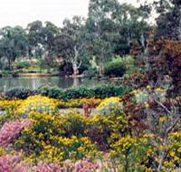 Wittunga Botanic Garden - Kempsey Accommodation