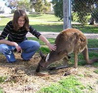 Pendleton Farmstay - Kempsey Accommodation