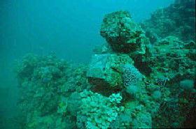 Adelaide's Underwater Heritage Trail - Kempsey Accommodation 0