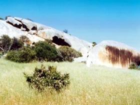 Ucontitchie Hill - Kempsey Accommodation 0