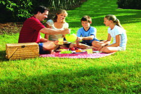 Bruny Island Berry Farm - Kempsey Accommodation 0