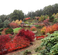 Emu Valley Rhododendron Garden - Kempsey Accommodation