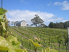 Bruny Island Premium Wines Bar And Grill - Kempsey Accommodation 0