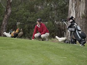 Tasmania Golf Club - The - Kempsey Accommodation 0