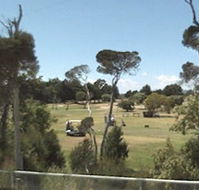 Greens Beach Golf Course - Kempsey Accommodation