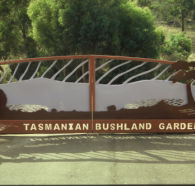 Tasmanian Bushland Garden - Kempsey Accommodation