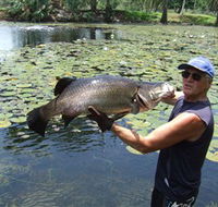 Barra Feeding - Kempsey Accommodation