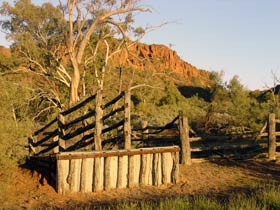Illamurta Springs Conservation Reserve - Kempsey Accommodation 0