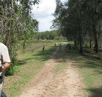 Coombabah Lakes Conservation Area - Kempsey Accommodation