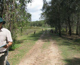 Coombabah Lakes Conservation Area - Kempsey Accommodation 0