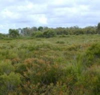 Pine Ridge Conservation Park - Kempsey Accommodation