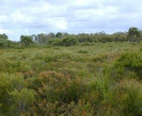 Pine Ridge Conservation Park - Kempsey Accommodation 0