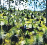 Bicentennial National Trail - Section 5 - Kempsey Accommodation