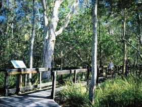 Noosa Heads QLD Kempsey Accommodation
