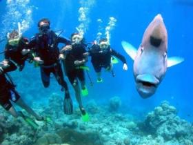 Magic Mountain Dive Site - Kempsey Accommodation 0