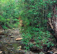 Mudlo National Park - Kempsey Accommodation