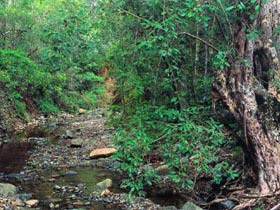 Mudlo National Park - Kempsey Accommodation 0